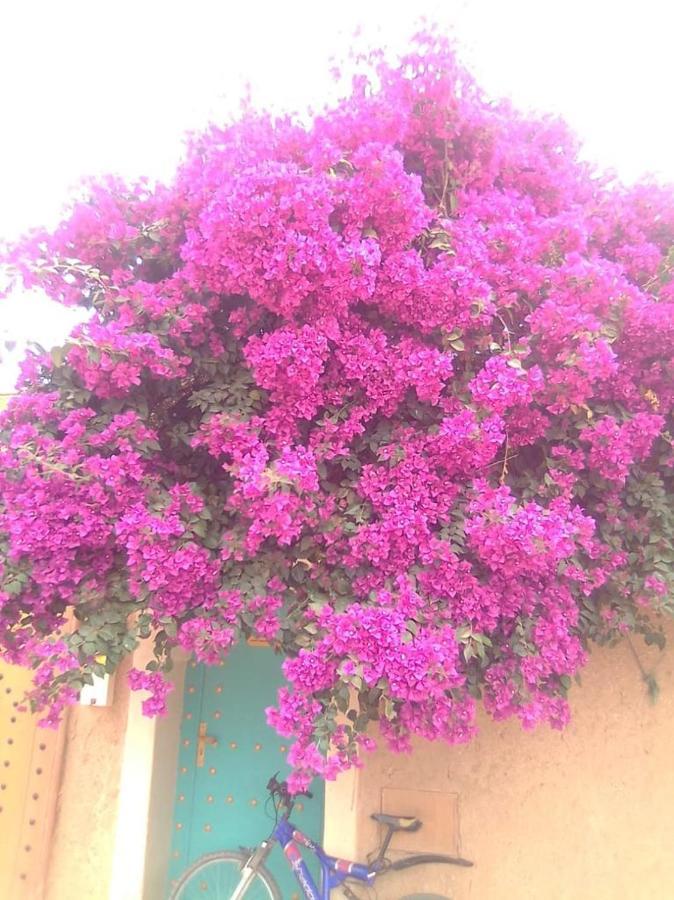 Riad Zidania Taroudant Ngoại thất bức ảnh